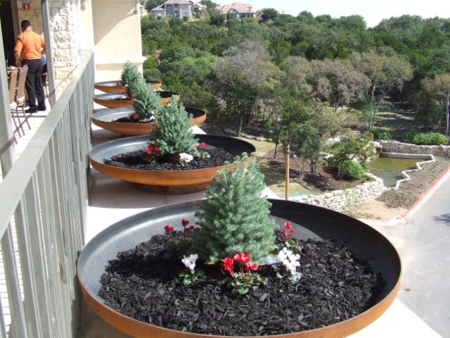 big pot plant