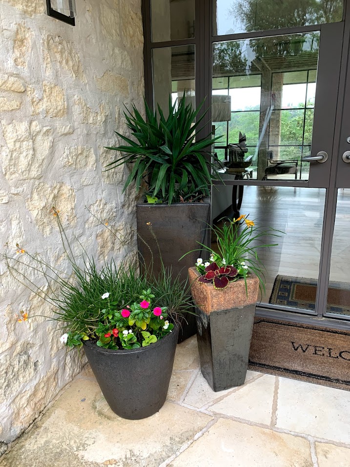 porch plants